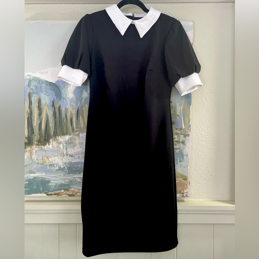 NWT Shelby and Palmer dress
